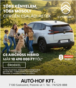 Skandinav Citroen
